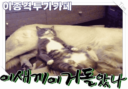 서양 남자들이 싫어하는 그것 | 인스티즈