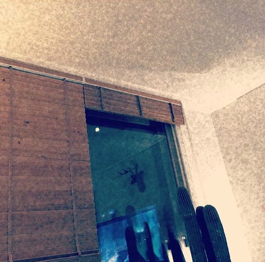 허지웅 에세이 버티는 삶에 관하여 中 인상적인 글귀 모음집 | 인스티즈