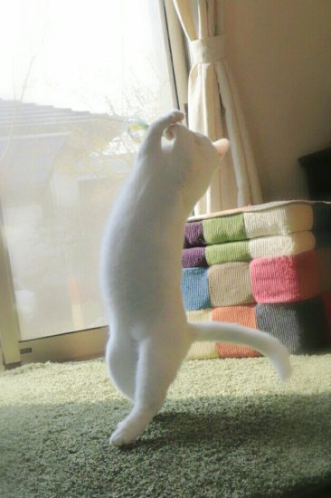 나는_춤추기를_갈망한다(feat.발레리냥).jyp | 인스티즈