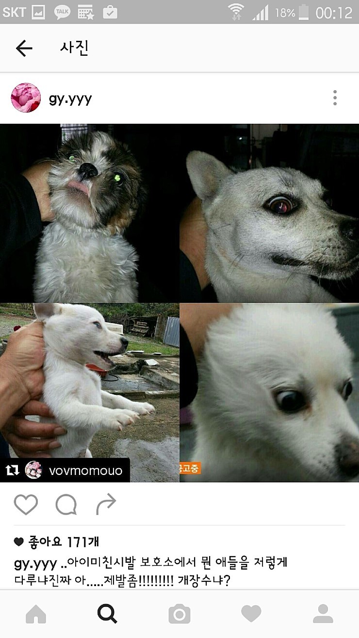 익산유기동물보호소의 공고사진 항의전화나 민원글쓰자(강아지 마음아픈사진있어)! | 인스티즈