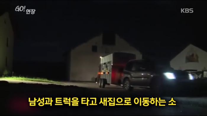 고마움을 표현하는 소.jpg | 인스티즈
