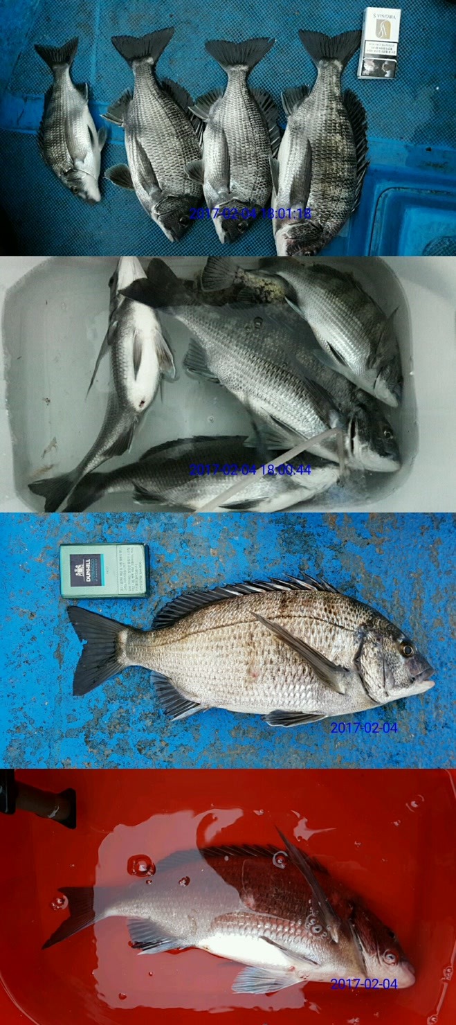 전국선외기 이미지