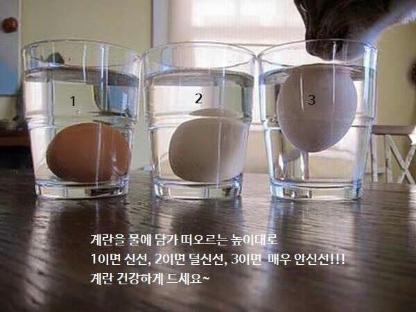 알아두면 유용한 꿀팁..^^ | 인스티즈