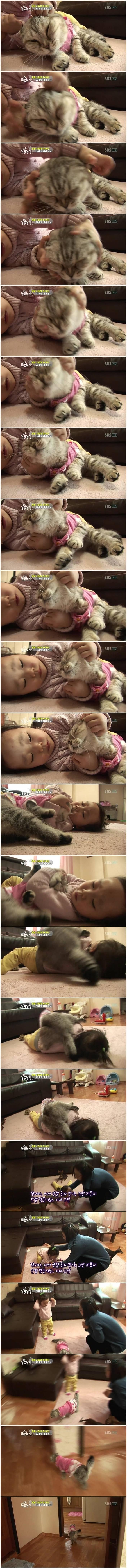 극한직업 고양이 | 인스티즈