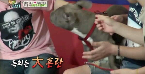 최현우 마술로 동물현혹 | 인스티즈
