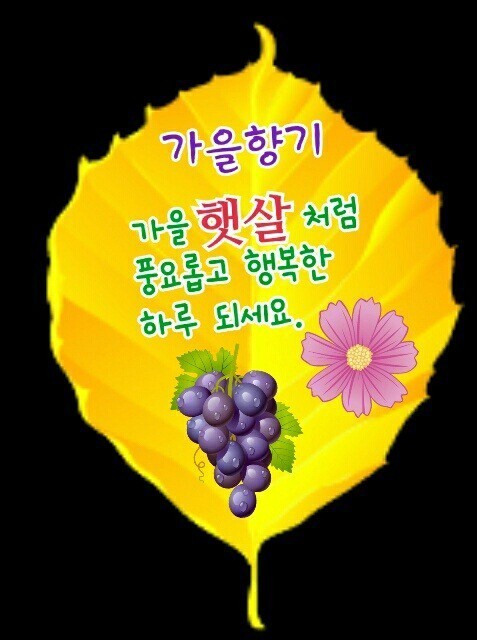 푸푸 이미지