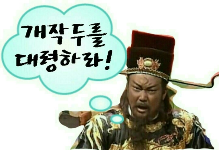 닌 이미지
