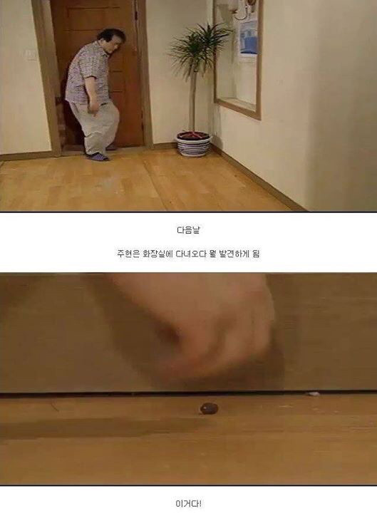 레전드 토끼사건 | 인스티즈
