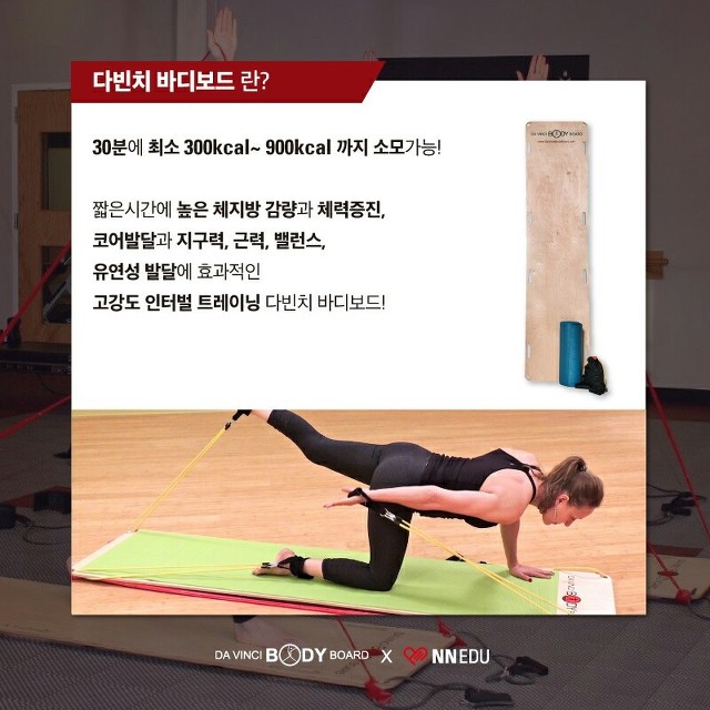 바다빈치 이미지