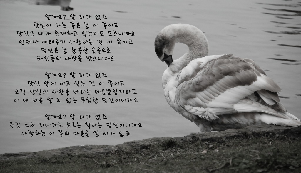 한 사람을 알고부터 내 스스로가 선택한 가장 아름다운 고통이다 | 인스티즈