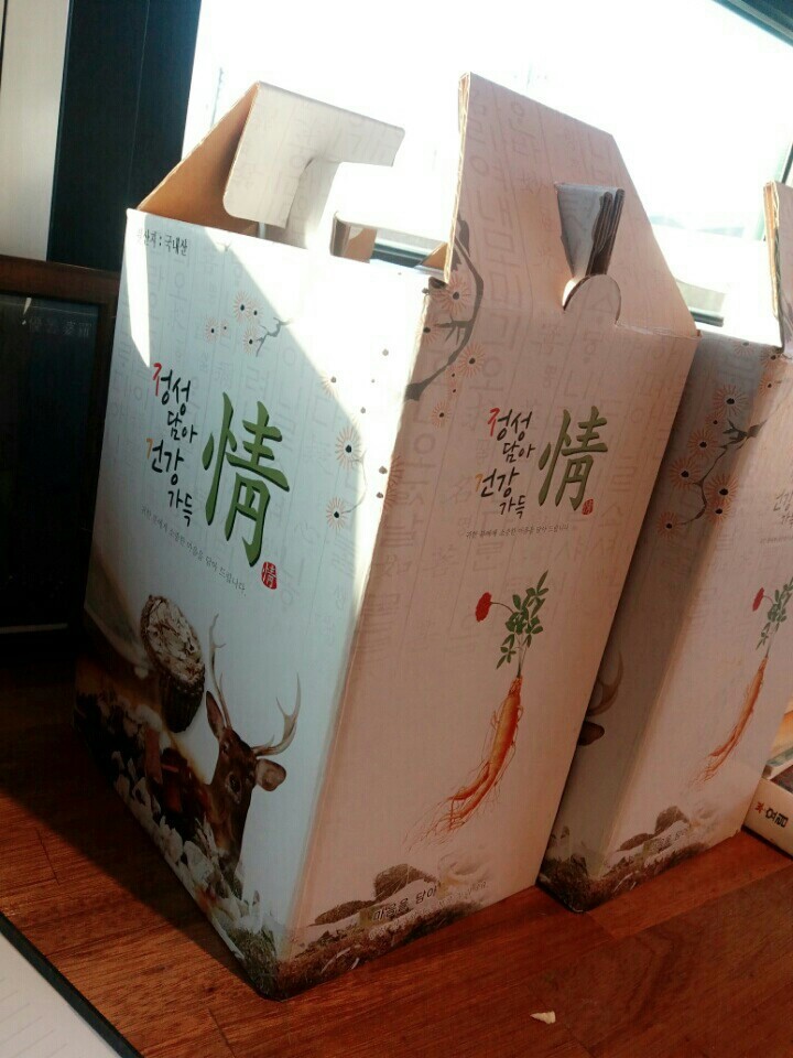 창녕 매실이 이야기를 아시나요?개소주가 되어서 돌아온 우리 매실이를 기억해주세요. 동물보호법강화를 위해 관심가져주세요 | 인스티즈