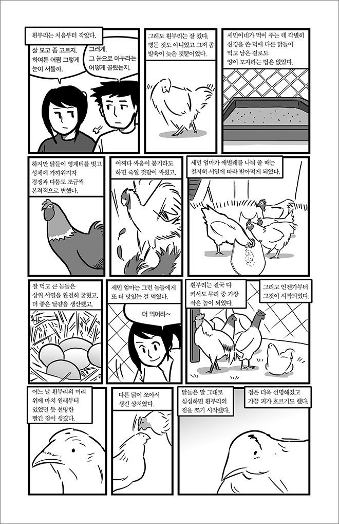 묘생만경 | 인스티즈