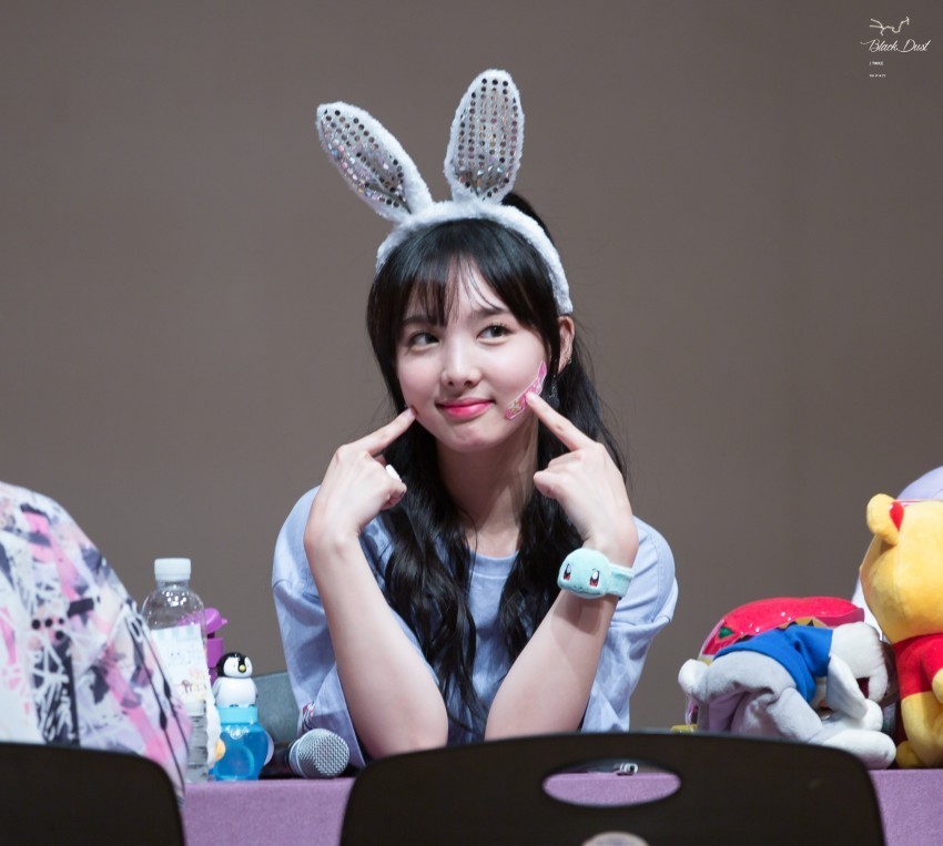 동물농장 트와이스 | 인스티즈