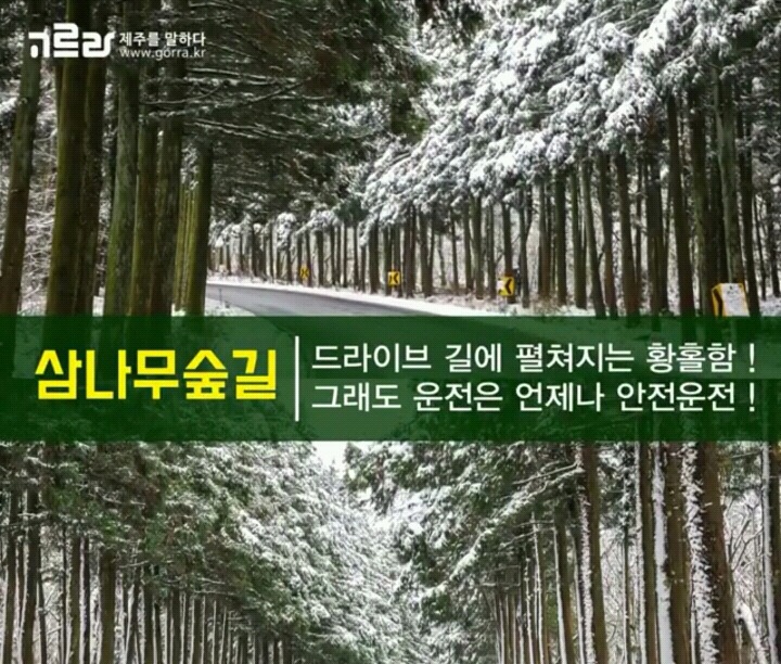 제주 겨울 여행지 12.jpg | 인스티즈