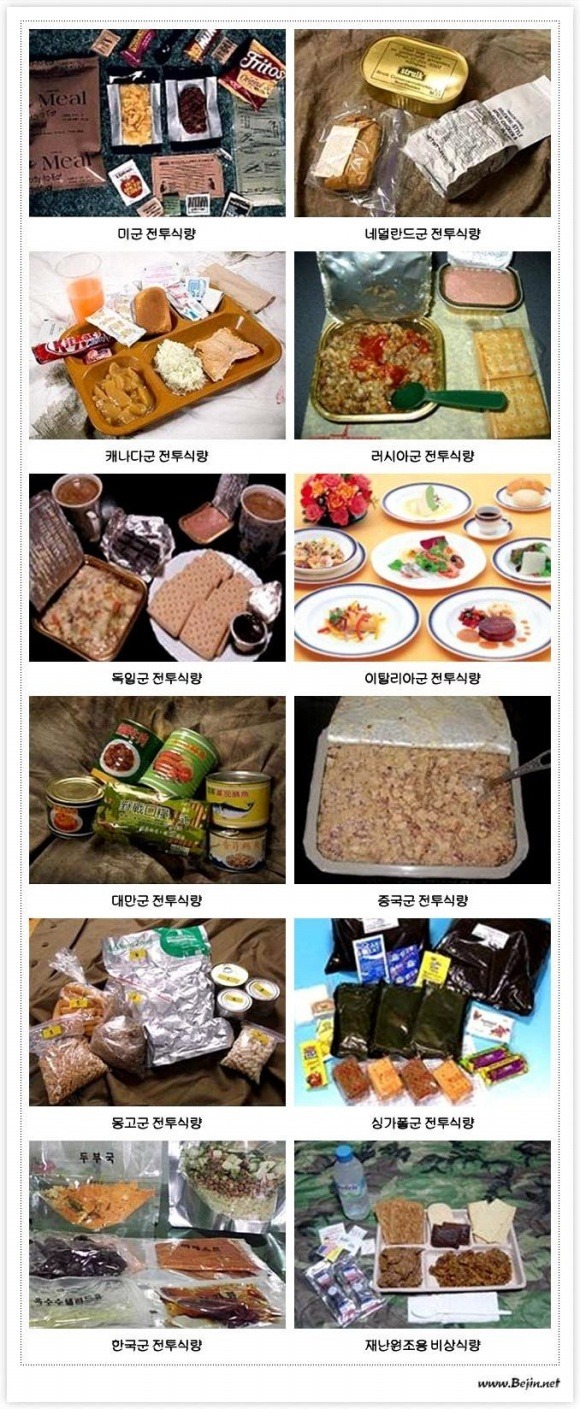 세계 각국의 전투 식량!!! ( | 인스티즈