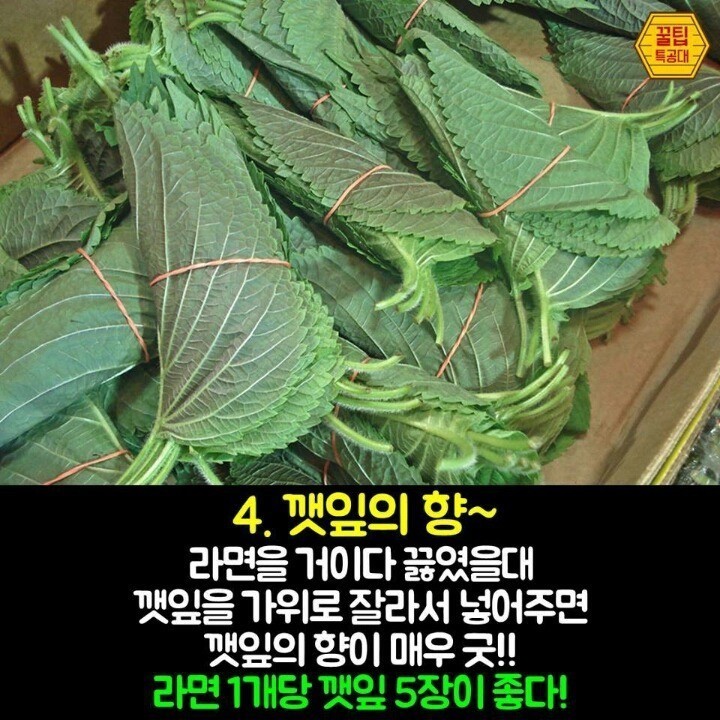 라면 끓이기 꿀팁 | 인스티즈