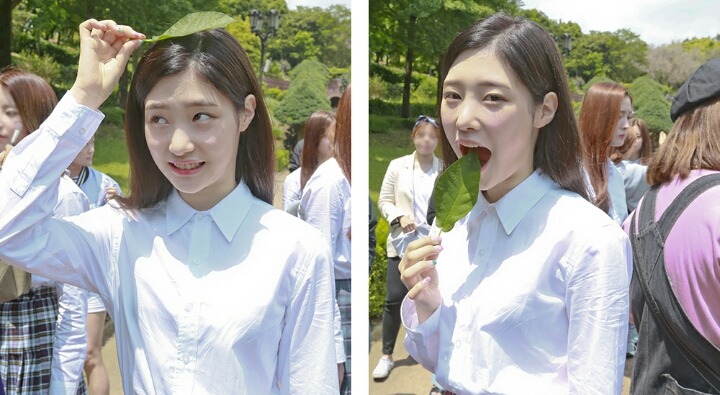 다이아로 돌아오는 정채연과 친구들 | 인스티즈