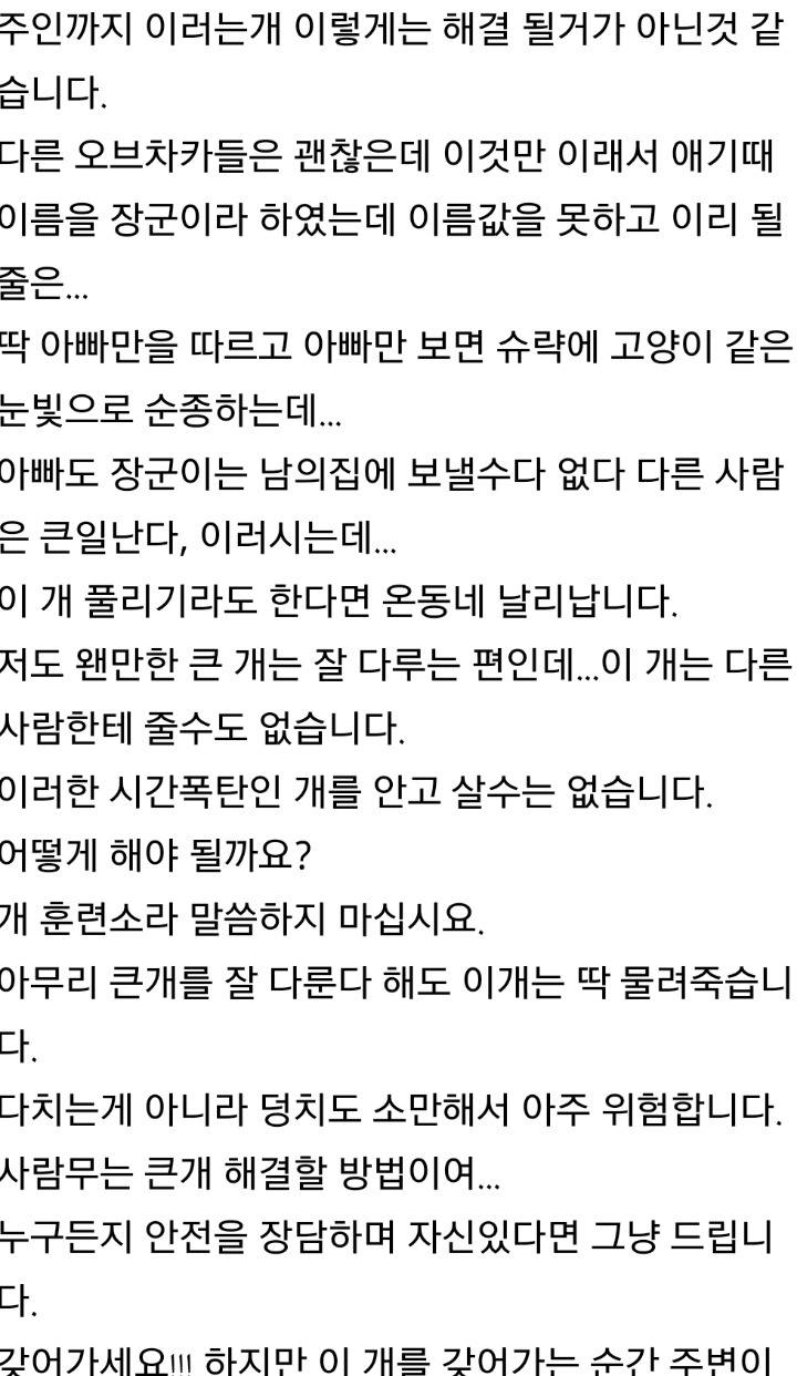 2007년 지식인에 올라왔던 대형견 안락사 고민글.txt | 인스티즈