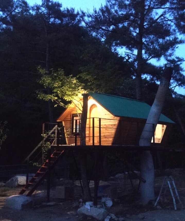 트리하우스 이미지