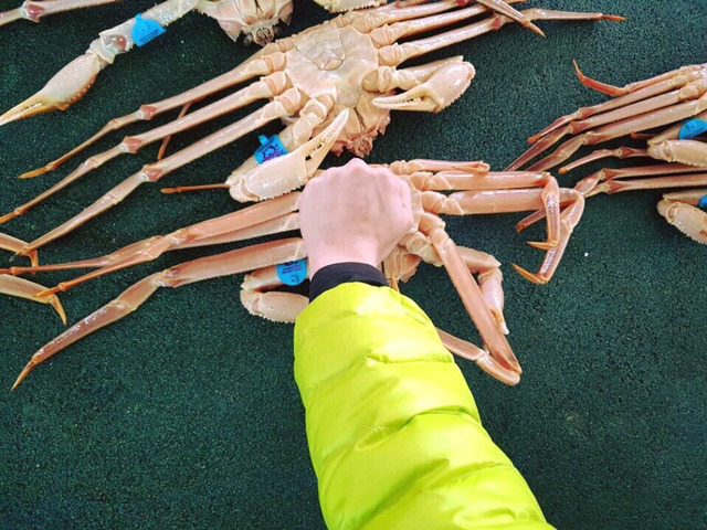 독도상회 이미지