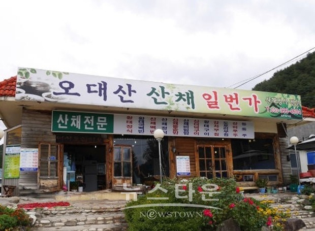 도도걸 이미지