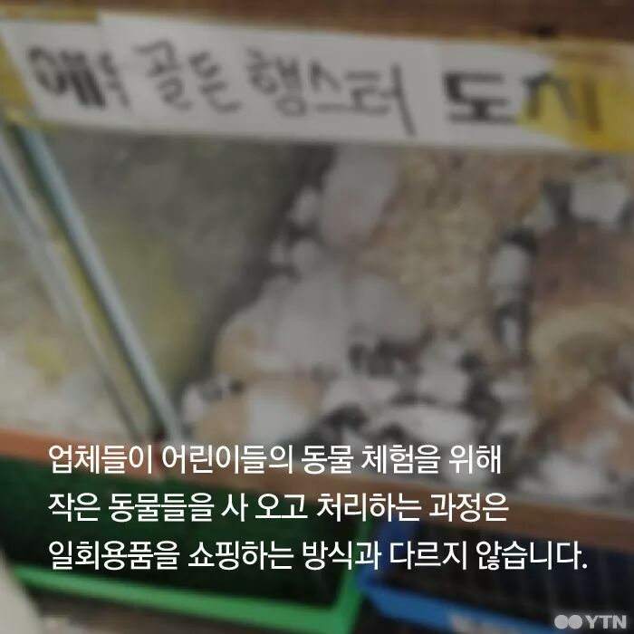 햄스터가 폐기물인가요? | 인스티즈