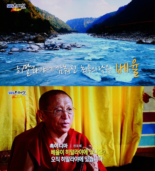 베율 이미지