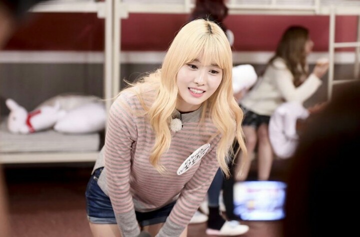 오늘 마리텔 나오는 트와이스.jpg | 인스티즈