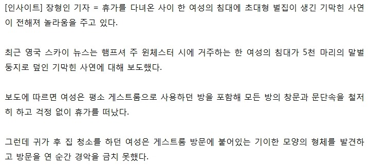 휴가 갔다 왔는데 침대에 '초대형 벌집'이 생겼어요 | 인스티즈
