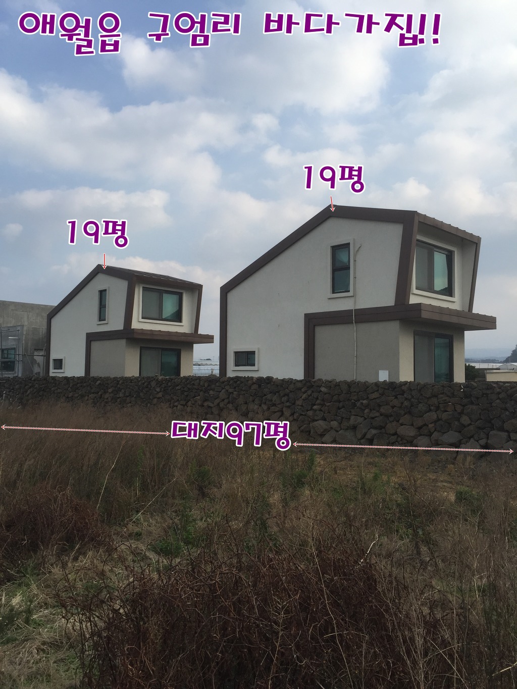 대지 이미지