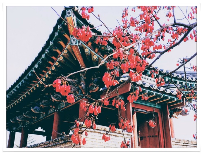 바이니나 이미지
