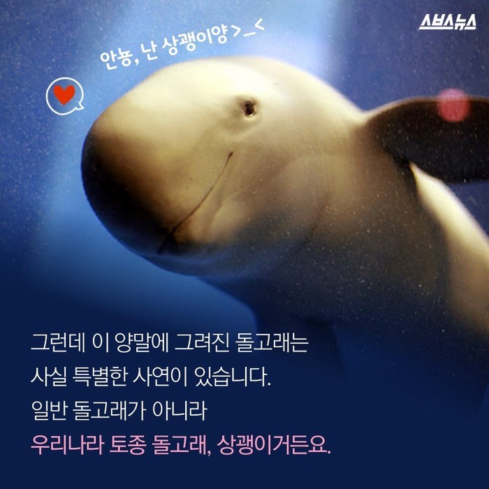  뽀뽀녀의 인생템 | 인스티즈