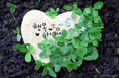 거목조경개발 이미지