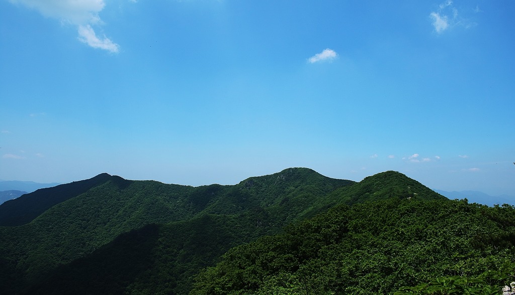 국립산림치유원 이미지