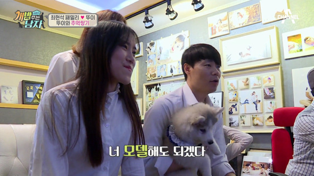 겁나 귀여운 최현석 셰프 강아지 뚜이(오드아이 시베리안 허스키).jpg | 인스티즈