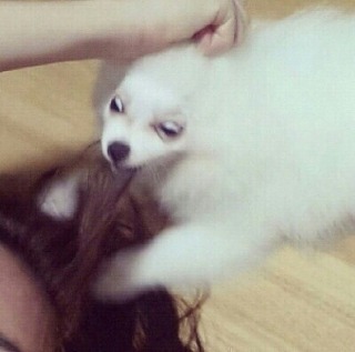 공감 이미지