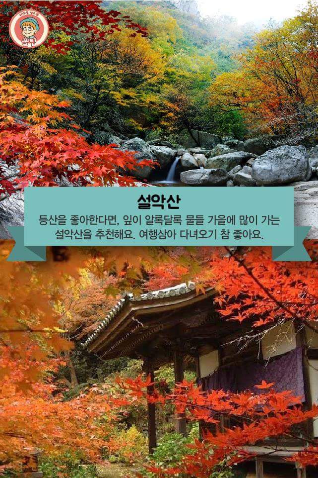 전국의 가을 단풍 여행지 추천 8곳 | 인스티즈