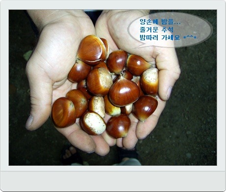 알토랑 이미지