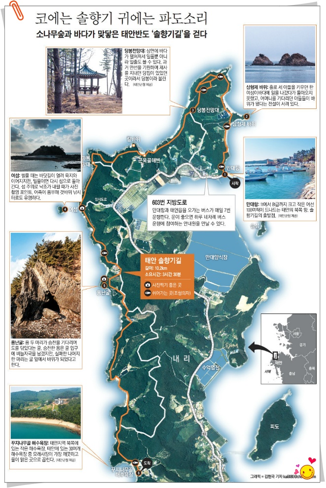 솔향기환경 이미지