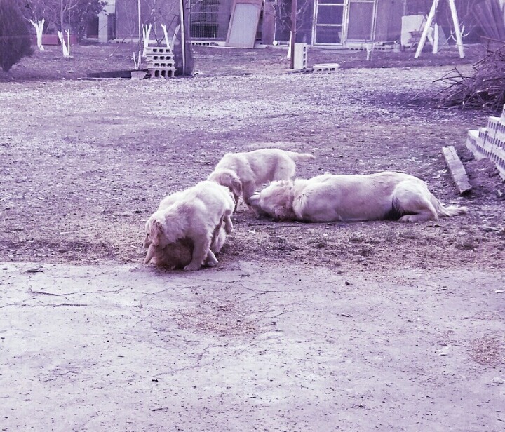 경안상사 이미지