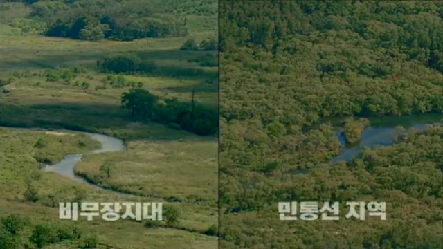 60년간 사람의 발길이 닿지 않은 천혜의 생태계 DMZ? 과연 그 이면에는? | 인스티즈