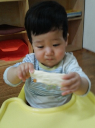 참빛 이미지