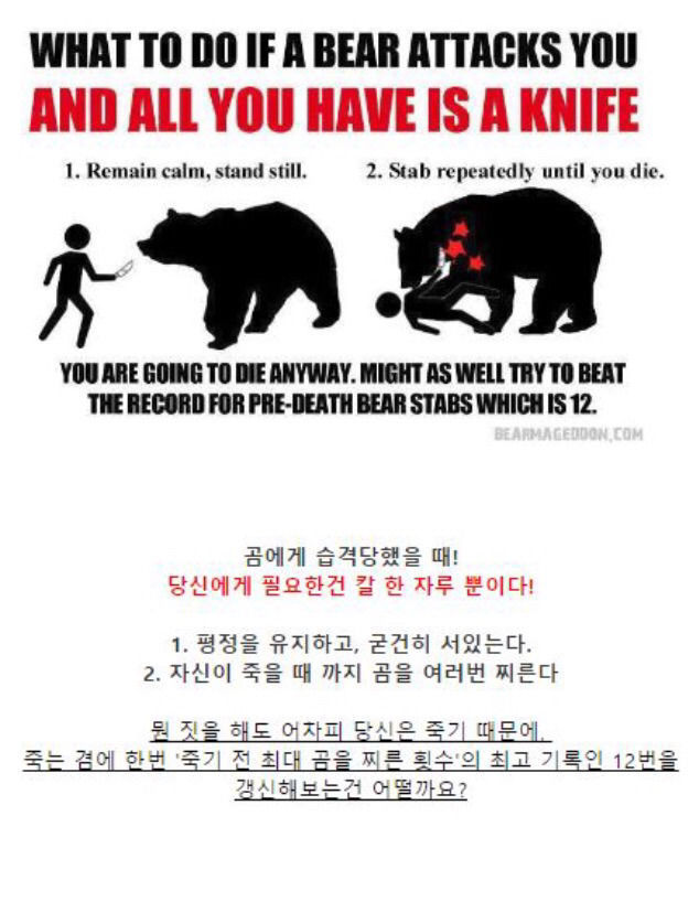 곰에게 공격당했을 때 살아남는 팁 | 인스티즈