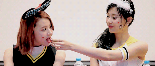 손채영.gif+jyp (데이터주의) | 인스티즈