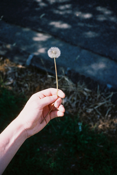 네가 나의 자랑이란걸 기억력이 좋은 네가 기억하기를,바라면서 나는 얼쩡거렸지 | 인스티즈