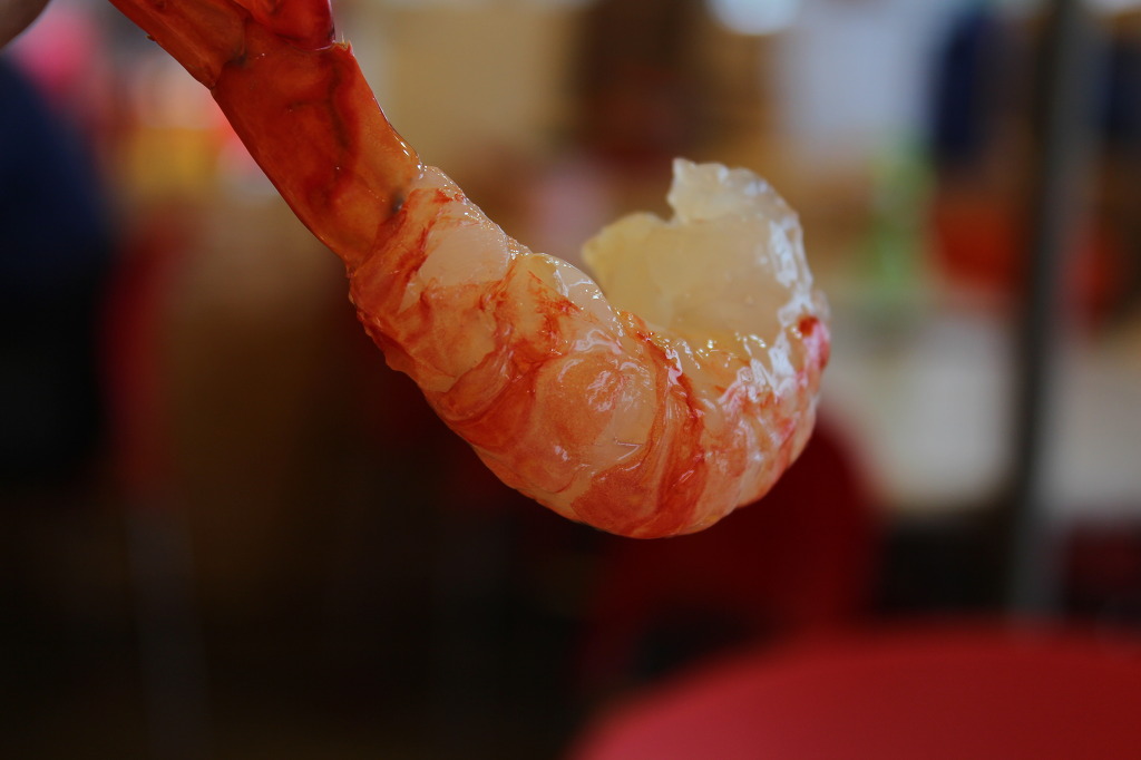 도화새우의 위엄... | 인스티즈