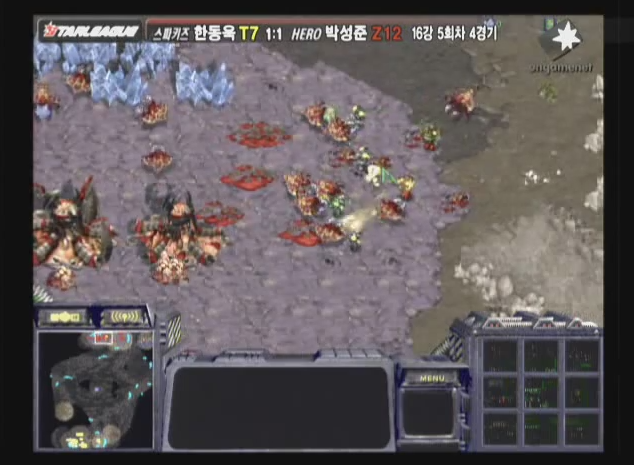 [스타1] 임요환급 심리전으로 박성준의 저그 후두려패는 한동욱.gif | 인스티즈