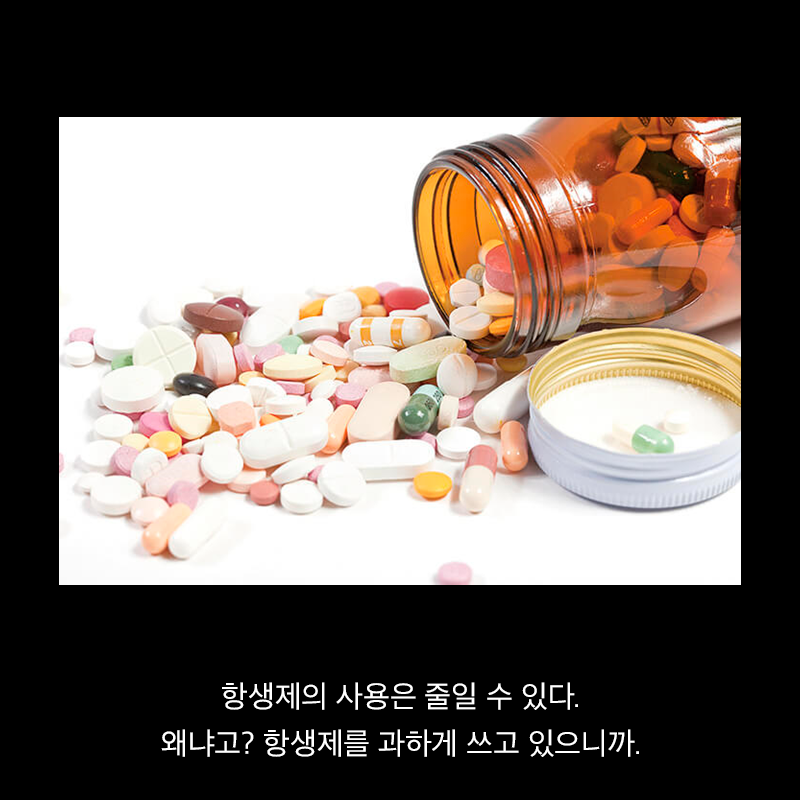 항생제의 역습 | 인스티즈