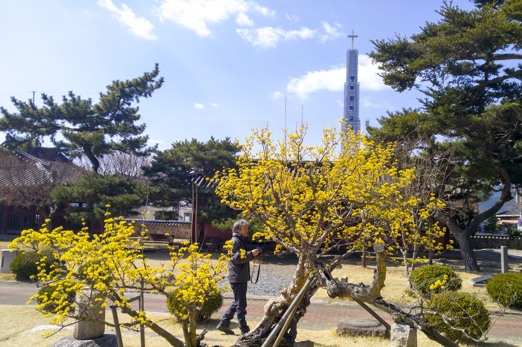 경주문화원 이미지