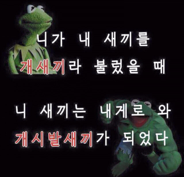개구리파티는 아침해가뜨기전까지계속된다, | 인스티즈